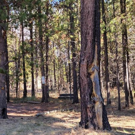 Diamondstone Guest Lodges La Pine Exterior foto